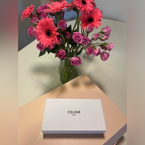 AUTHENTIC CELINE TRIOMPHE SUNGLASSES EMPTY BOX, DUSTER AND CARDS - Picture 4 of 4